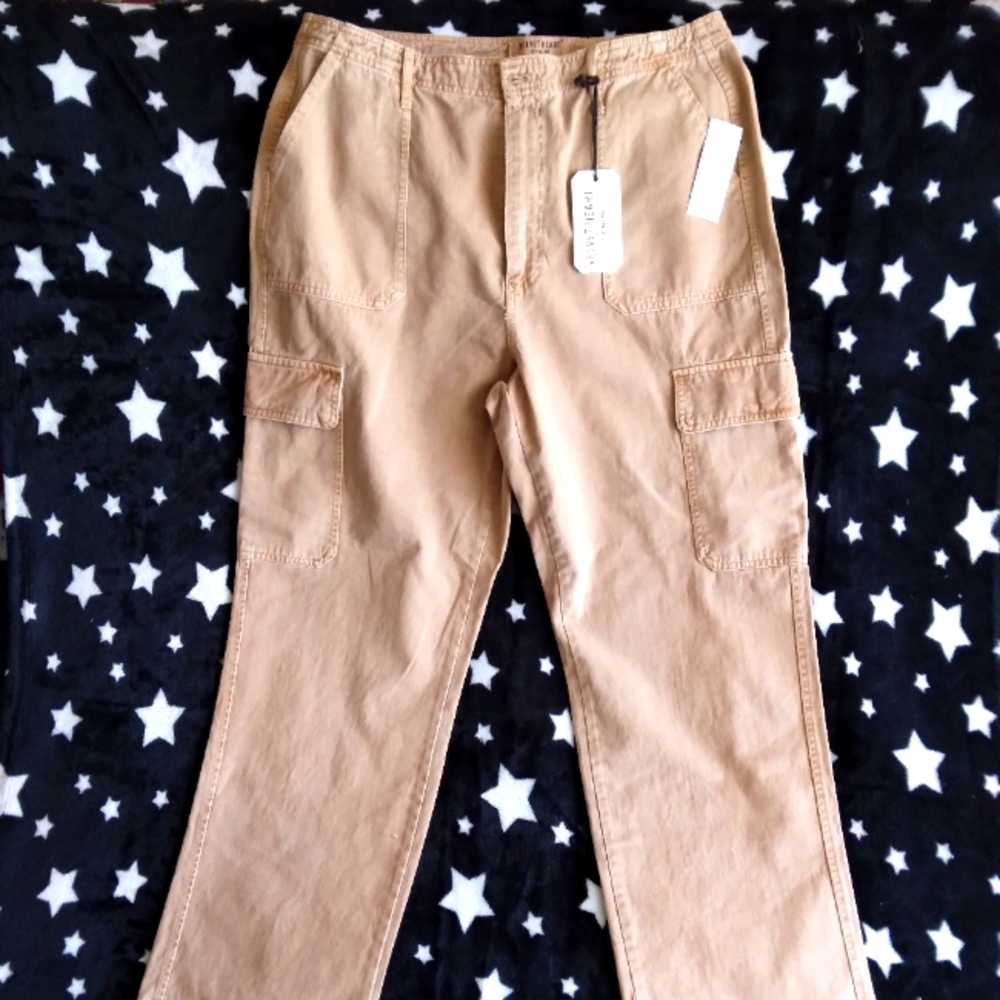 Velvet Heart XL cargo pant